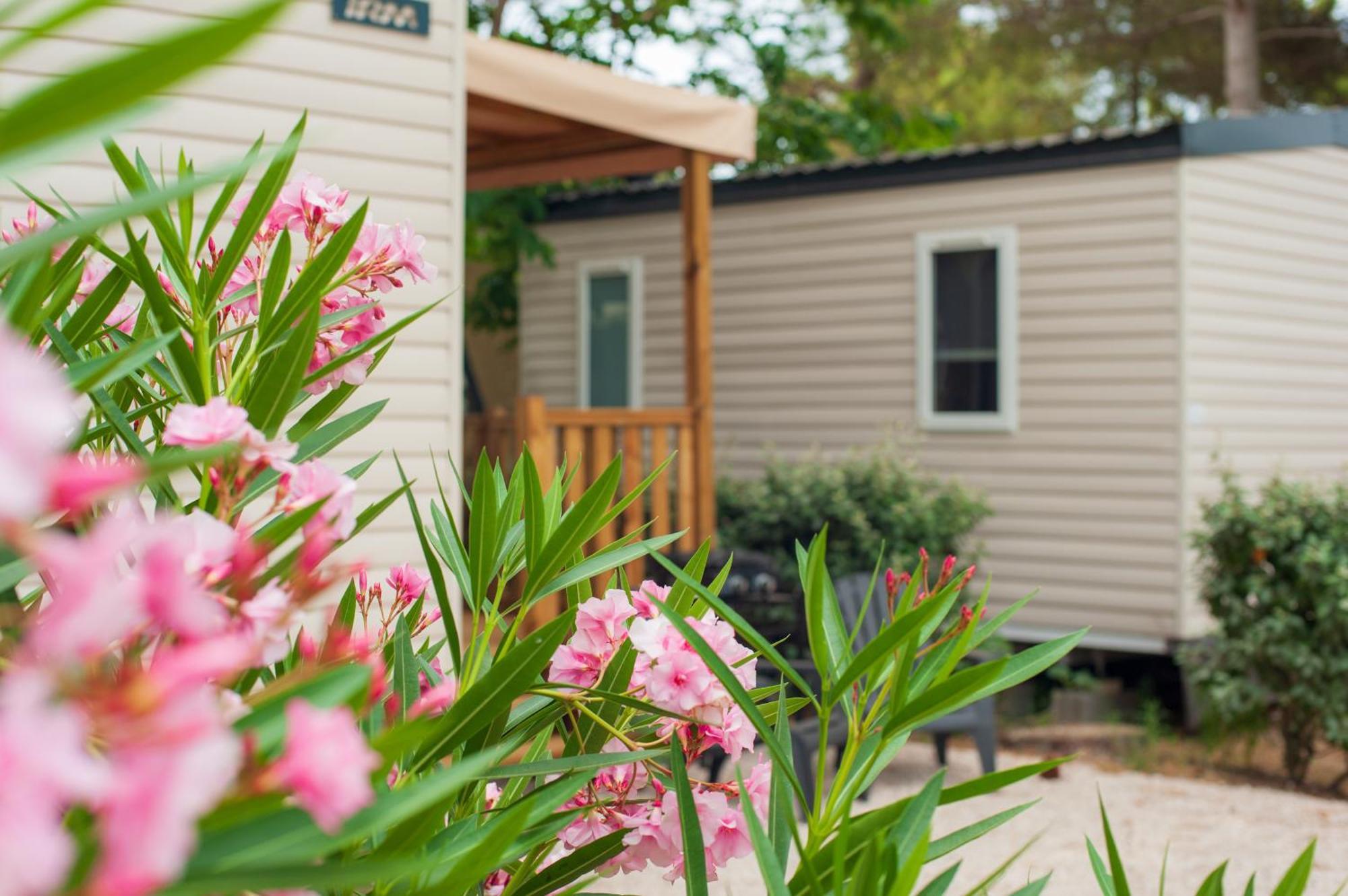 Camping Les Jardins D Agathe Le Grau-dʼAgde Εξωτερικό φωτογραφία