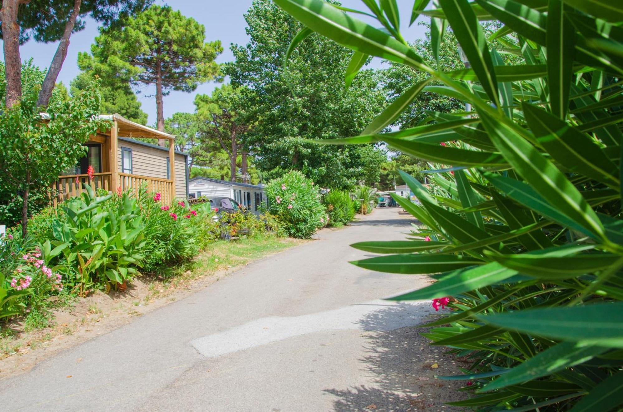 Camping Les Jardins D Agathe Le Grau-dʼAgde Εξωτερικό φωτογραφία