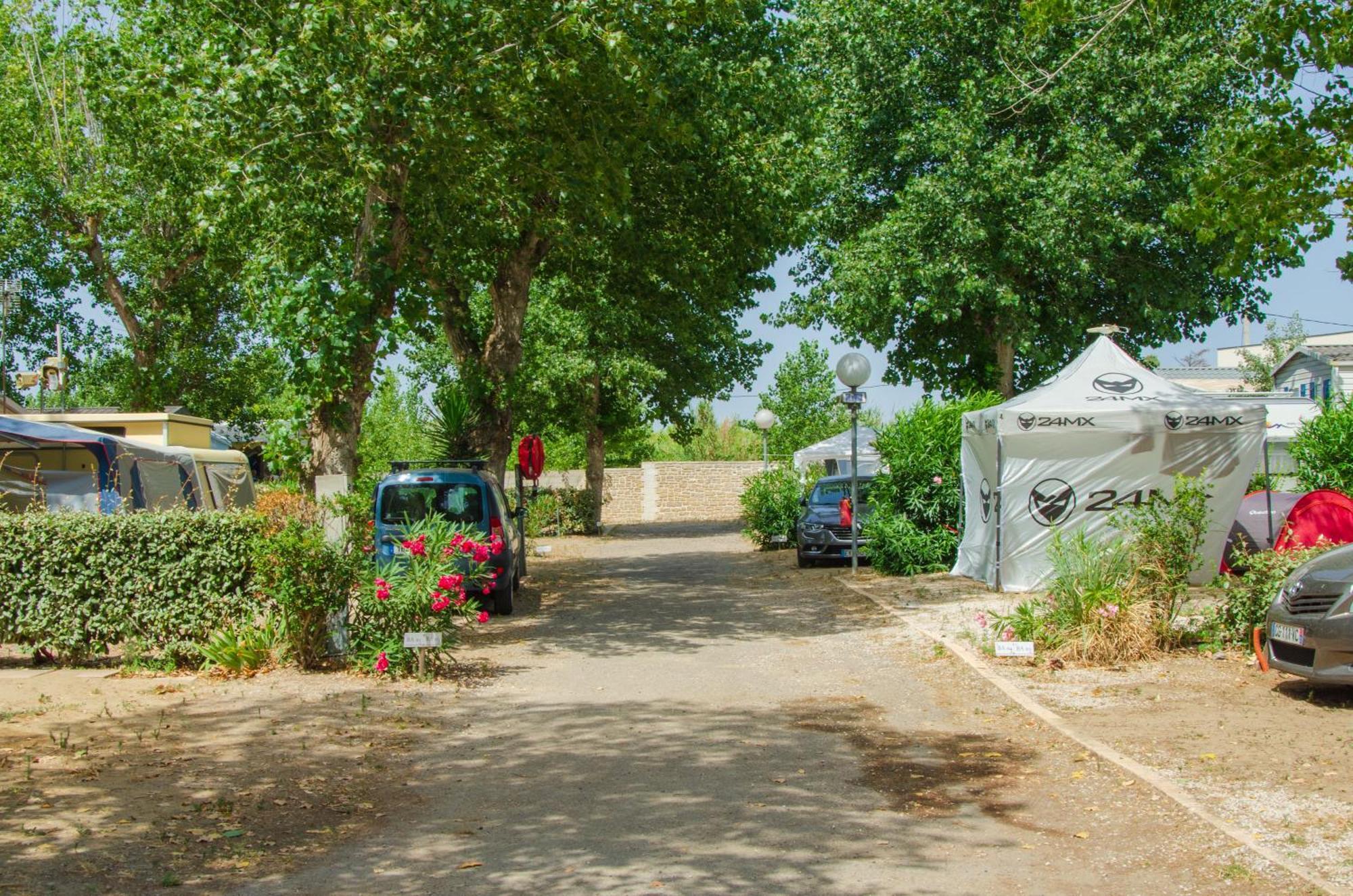 Camping Les Jardins D Agathe Le Grau-dʼAgde Εξωτερικό φωτογραφία