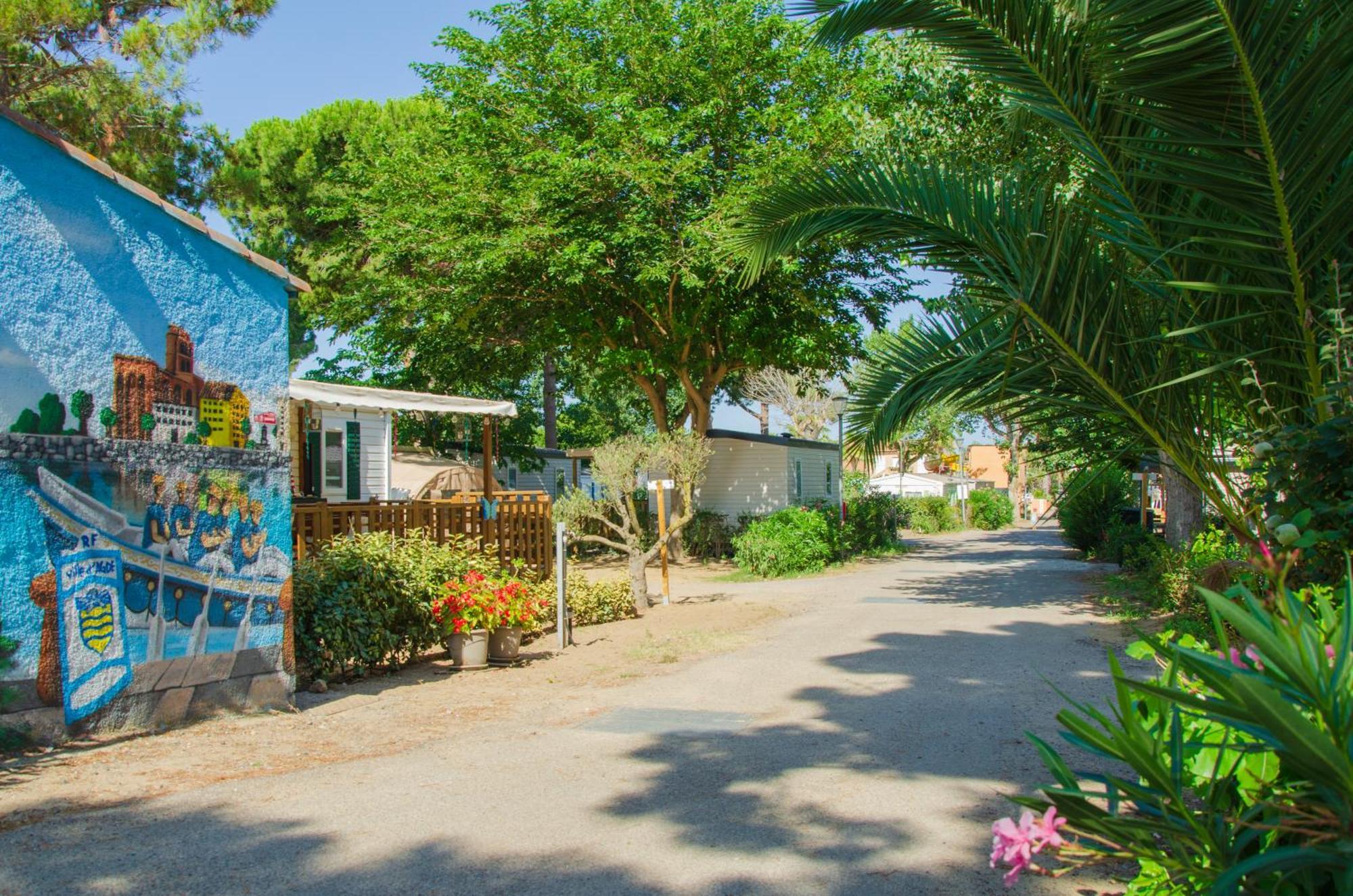 Camping Les Jardins D Agathe Le Grau-dʼAgde Εξωτερικό φωτογραφία