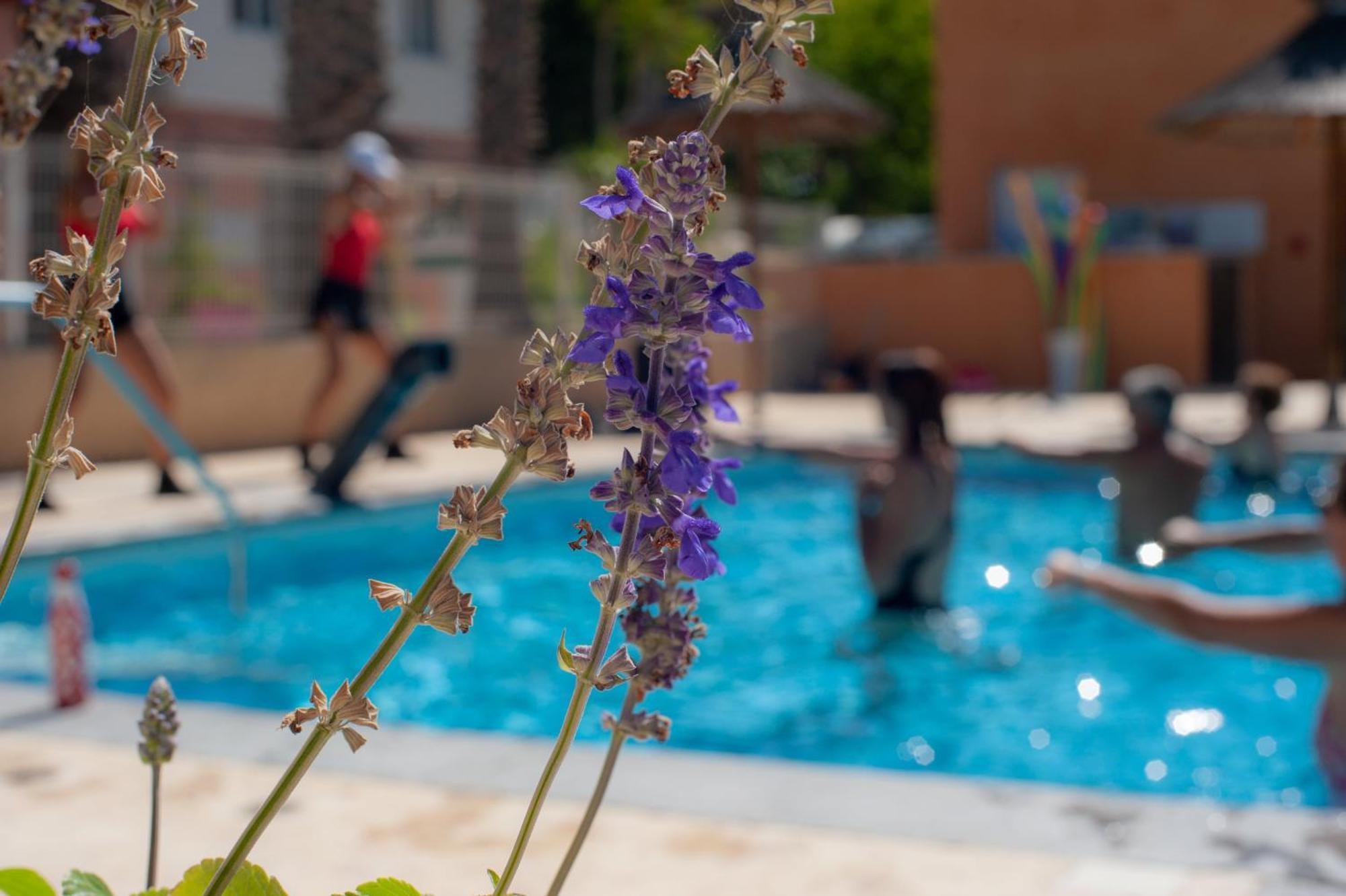 Camping Les Jardins D Agathe Le Grau-dʼAgde Εξωτερικό φωτογραφία