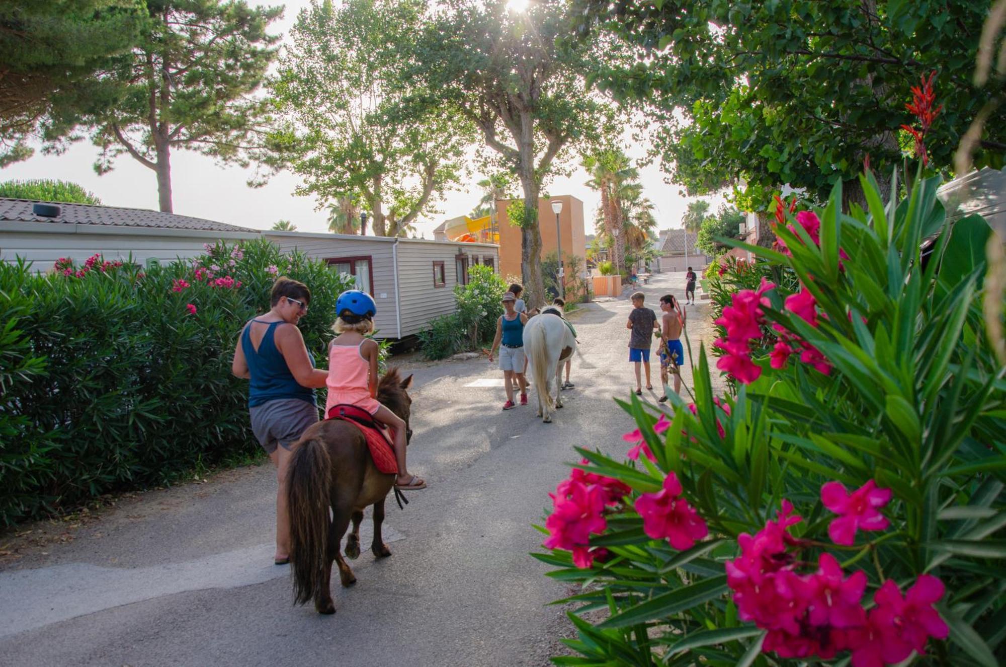 Camping Les Jardins D Agathe Le Grau-dʼAgde Εξωτερικό φωτογραφία